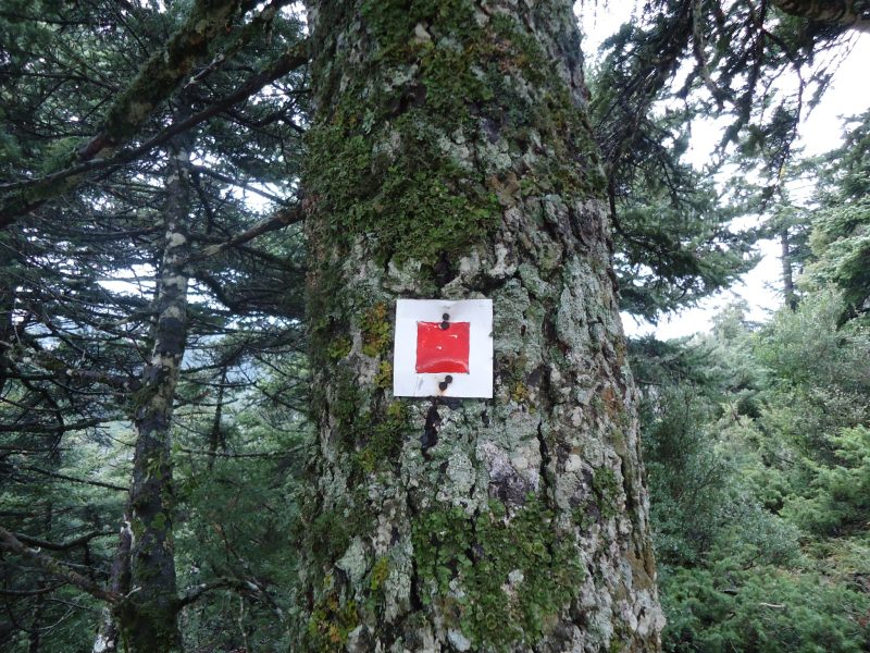 Σήμανση Μονοπατιού (Πηγή: Μονάδα Διαχείρισης Εθνικών Πάρκων Πάρνηθας, Σχοινιά και Προστατευόμενων Περιοχών Σαρωνικού Κόλπου)