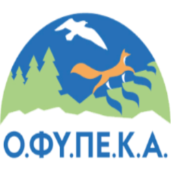 necca-android-chrome-512x512