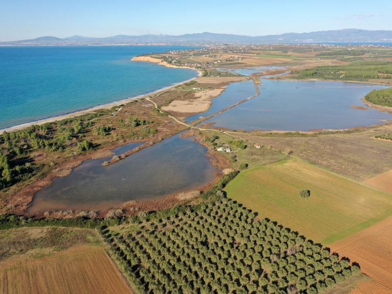 Wetland of Nea Fokaia (Credit: Management Unit of Protected Areas of Central Macedonia)
