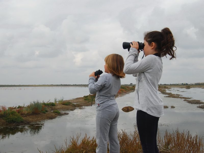 Birdwatching, lagoon of Kalaxori (Credit: Management Unit of Protected Areas of Central Macedonia)