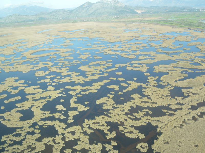 Swamp of Rodia (Credit: Management Unit of Acheloos Valley and Amvrakikos Gulf Protected Areas)