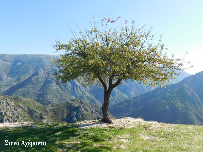 Paramythia Mountains- Acherontas straits (Credit: Management Unit of the Protected Areas of Epirus)