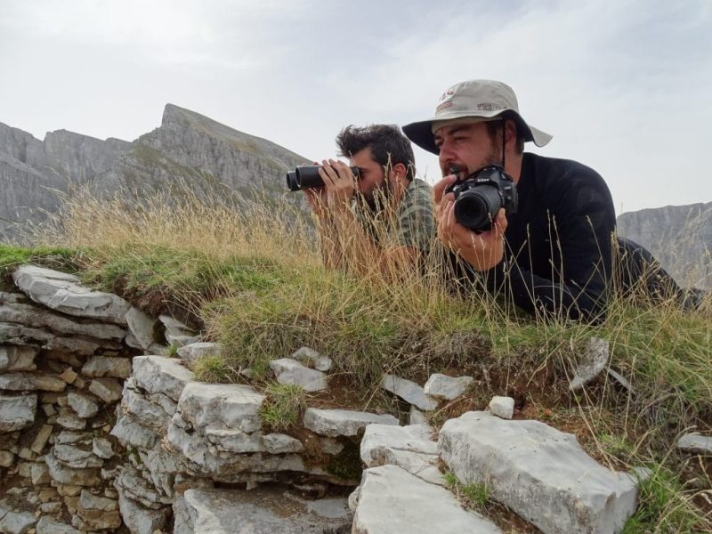 Monitoring of Balkan chamois (Credit: Management Unit of Northern Pindos National Park)
