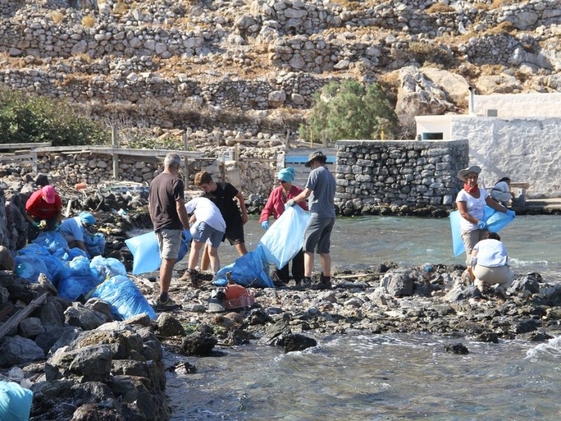 Volunteer Action (Credit: Management Unit of the Southeastern Aegean Protected Areas)
