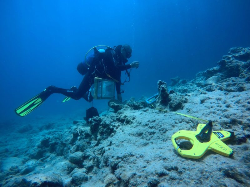 Underwater research (Credit: Management Unit of the Southeastern Aegean Protected Areas)
