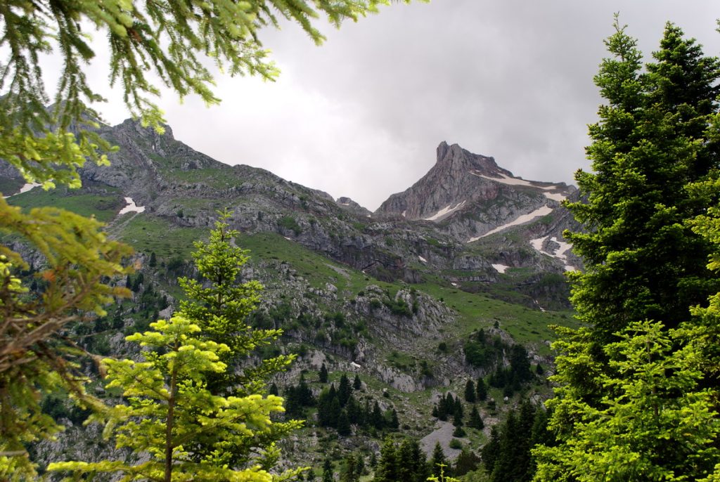 Βαρδούσια Όρη – Ο.ΦΥ.ΠΕ.Κ.Α.