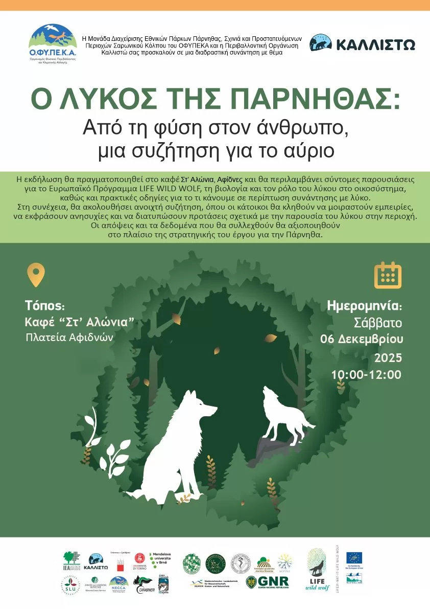 Αφίσα εκδηλώσεις για το λύκο Πάρνηθα 6-12-2025