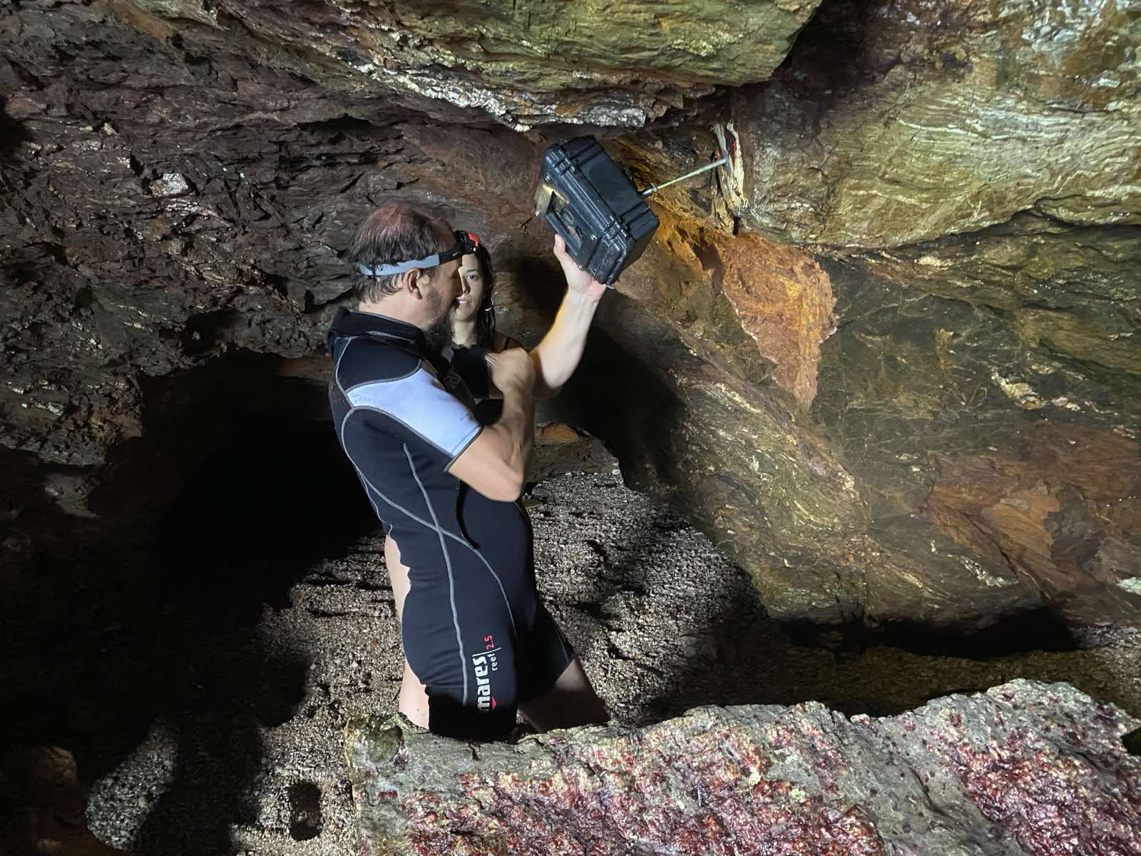 Σεμινάριο για τη Μεσογειακή φώκια 2