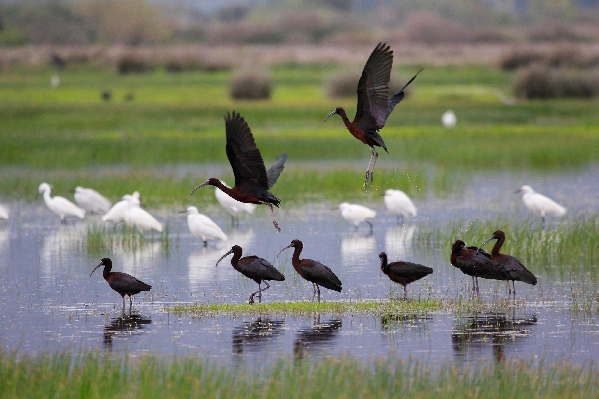 3.-%CE%A7%CE%B1%CE%BB%CE%BA%CF%8C%CE%BA%