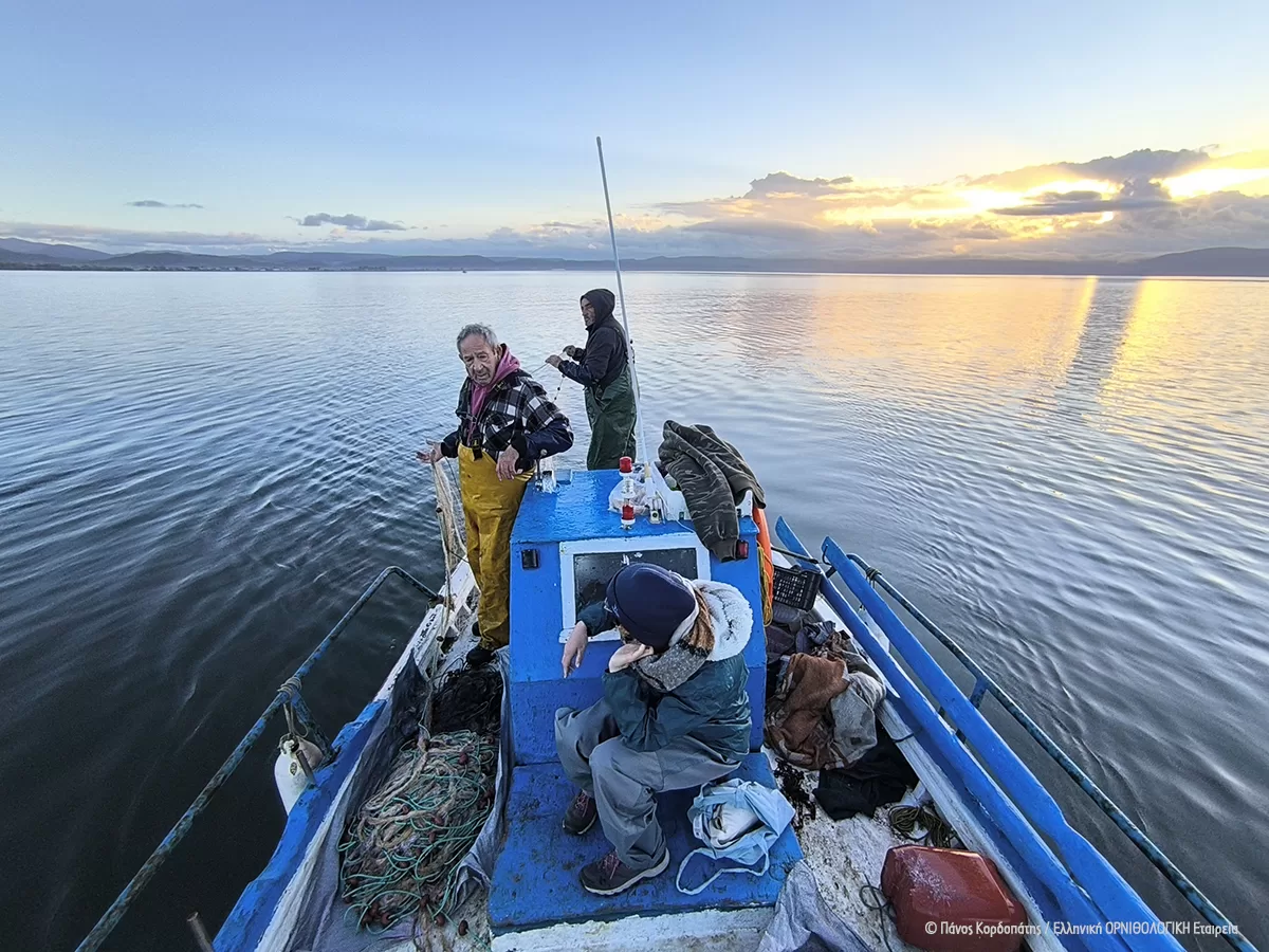 LIFE_PanPuffinus_Lesvos_Panos_Kordopatis_ORNITHOLOGIKI