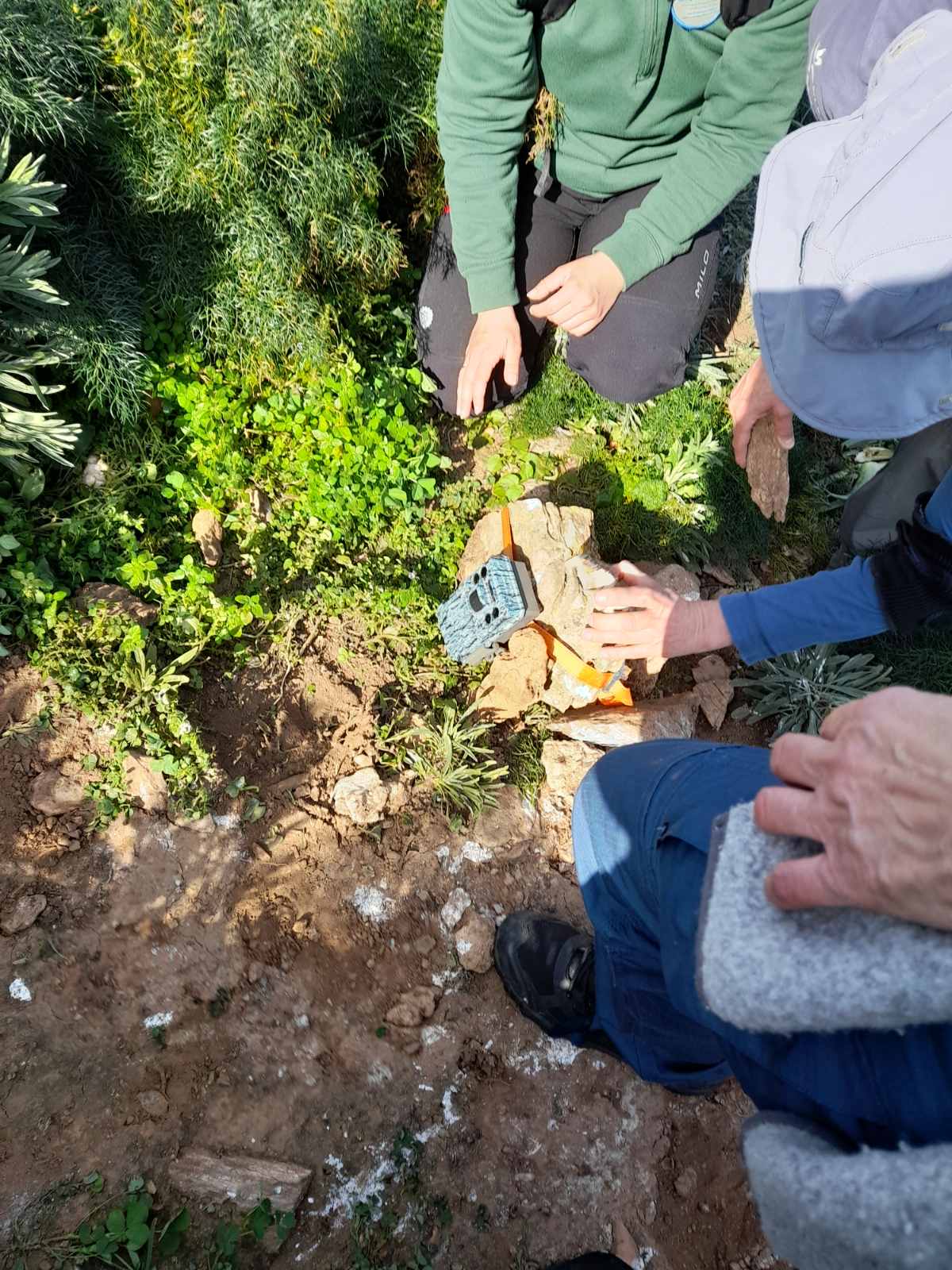 Σχολή Θαλάσσιας Διατήρησης - θαλασσοπούλια