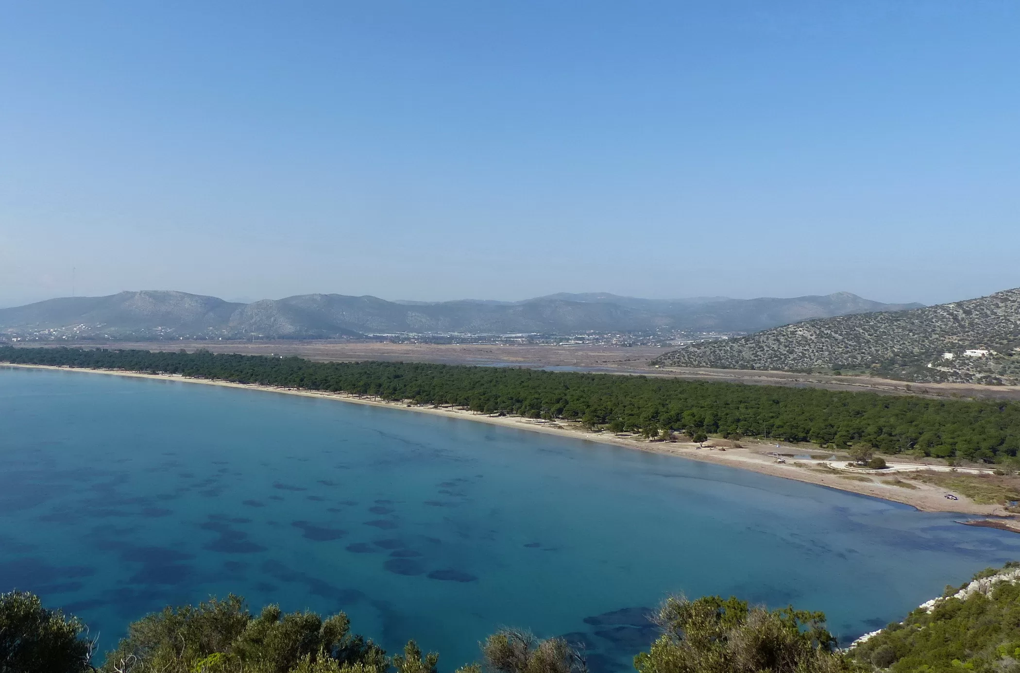 2. Πευκοδάσος και Παραλία Σχινιά cropped