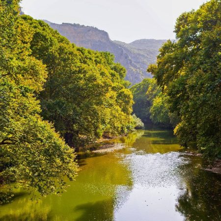 Αισθητικό Δάσος Τεμπών -Ζαρζώνης Γιάννης Αισθητικό Δάσος Τεμπών - Γιάννης Ζαρζώνης
