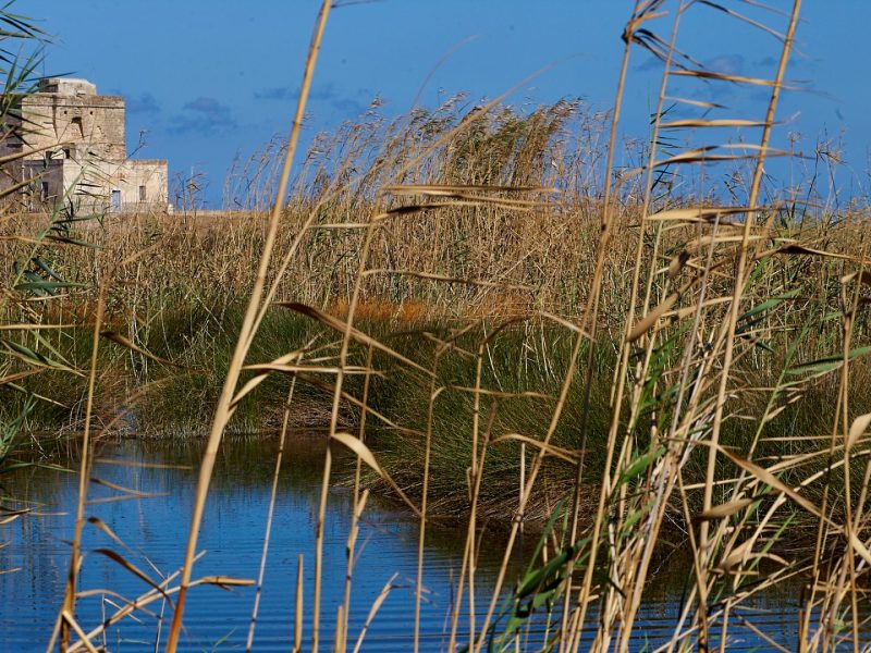 Torre e Chiaro d'Acqua meglio Torre e Chiaro d'Acqua meglio
