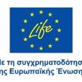 Εικόνα1 Εικόνα1