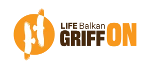 Life Balkan GriffON logo color